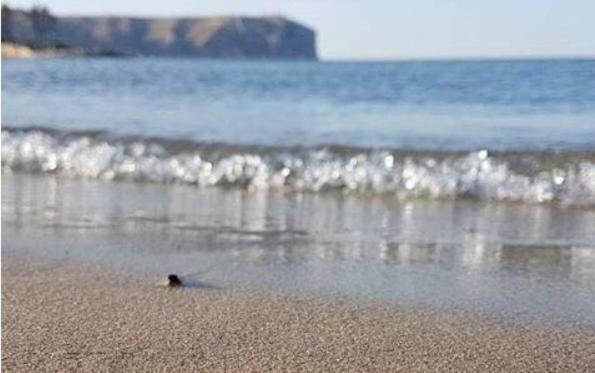 Acogedor Y Precioso Atico En Javea Primera Linea Playa Екстериор снимка